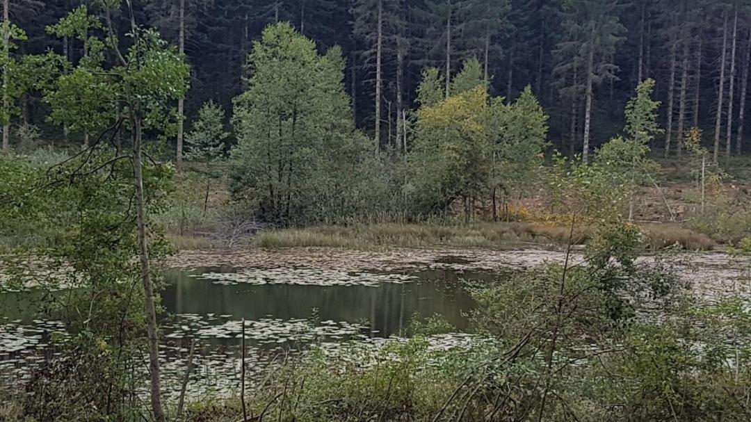 Gite La Censière Chatel-de-Joux Extérieur photo